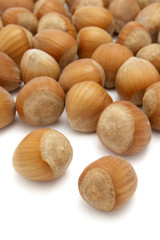 hazelnuts 1