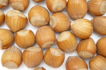 hazelnuts 2