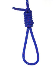 noose