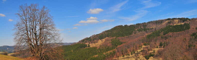 Fototapeta na wymiar Typowe wzgórza w Wołoszczyzny