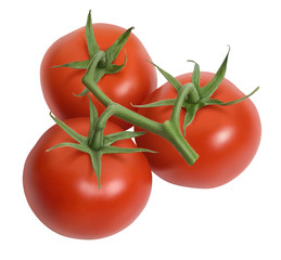 Tomato 3