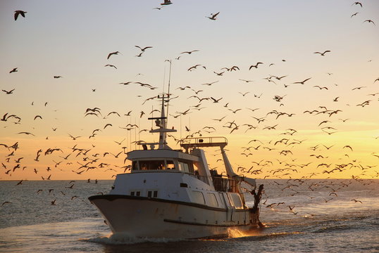 Retour de la p&ecirc;che