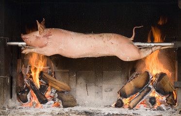 Piglet roasted on a spit
