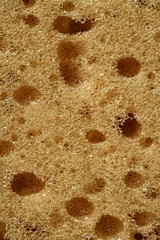 Sponge texture background, macro detail of surface