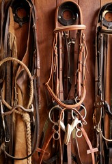 Horse riders complements, rigs, reins,  leather over wood - obrazy, fototapety, plakaty