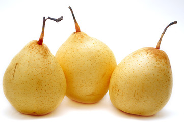 tree pears