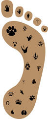Footsteps