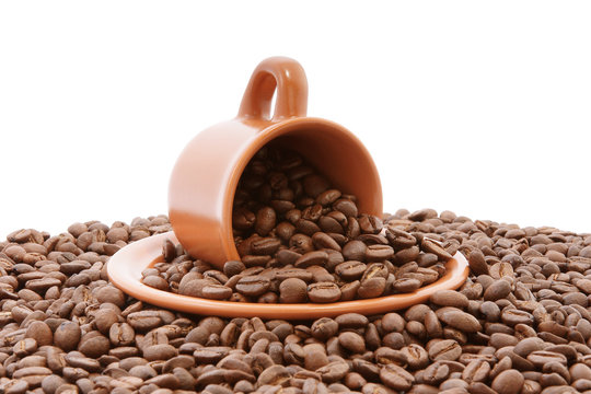 cofe 2