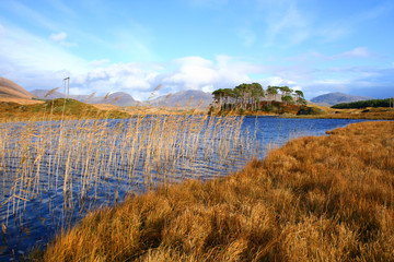 irlanda