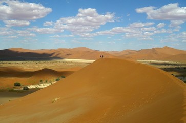 Fototapeta na wymiar Sossusvlei Namibia