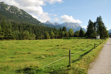 Alp pasture