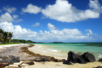 Obraz premium Plage aux Antilles 5