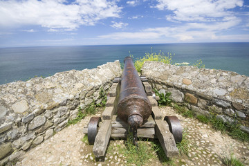 Cannon with ocean