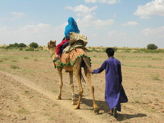 Camel Trekking, Rajasthan