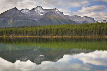 Mountain, wood and lake.