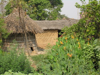 Bihar Village
