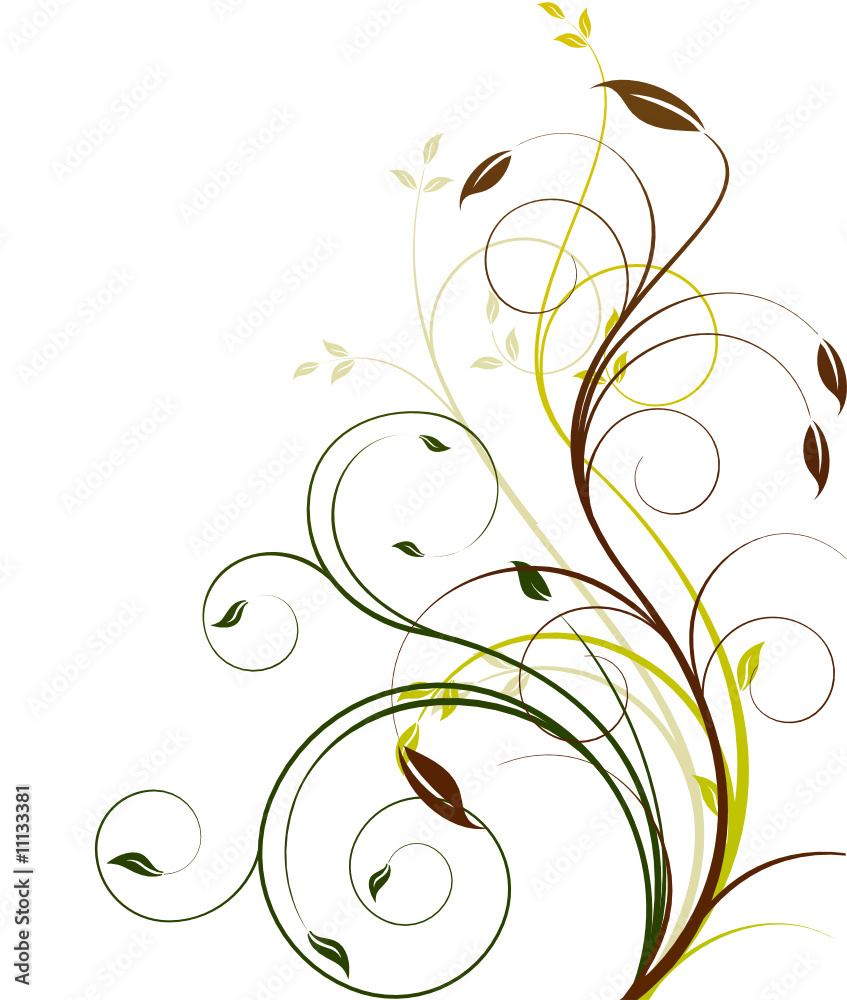 Canvas Prints Floral vector background