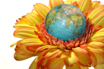 Blüte mit Globus 3