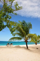 palm island