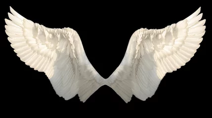 Fotobehang twee vleugels engel geïsoleerd © liliya kulianionak