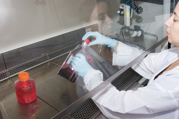 work in the laboratory