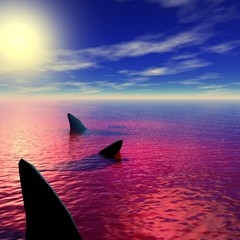 Fototapeta premium płetwy rekina w morzu krwi