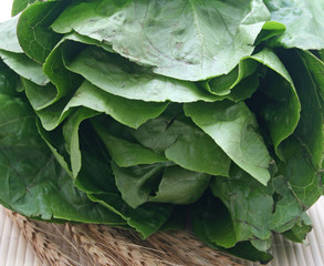 salat