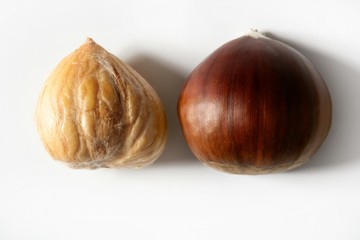 Chestnut over white studio background