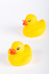 aqueak toy duck