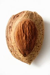 Almond macro image over white background