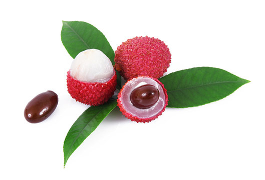 lychee