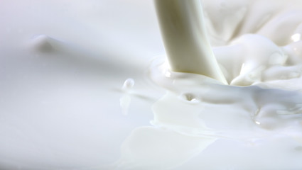 pouring creamy fresh milk in a transparent glass