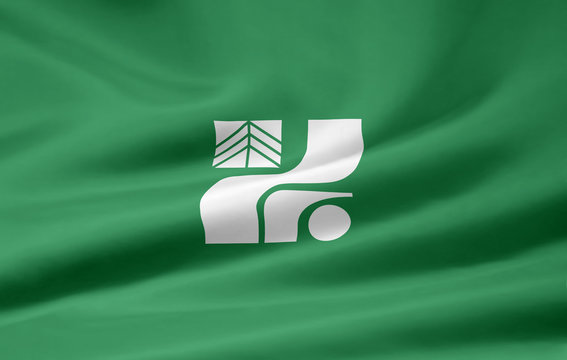 Flagge von Tochigi - Japan