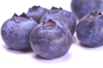 Blueberries on white
