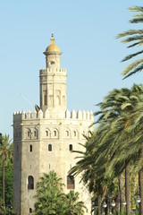 Fototapeta na wymiar Petite fortification arabe avec palmiers à Séville
