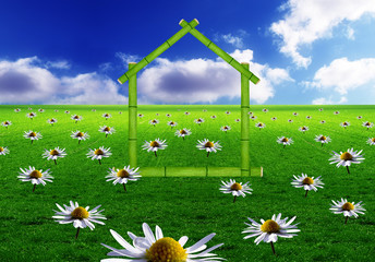 green house and daisies