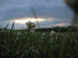 Early Morning Breeze