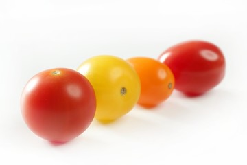 Little cherry varied multi color tomatoes