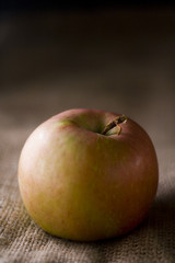 delicious fresh red apples of seasonal