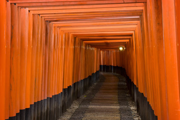 Fototapeta premium Torii Fushimi Inari