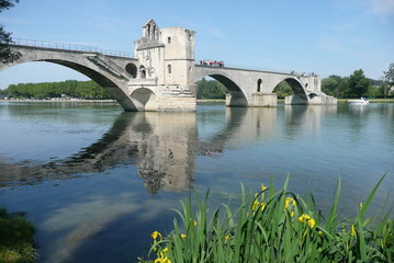 avignon