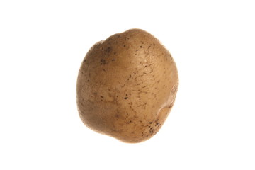 Fototapeta premium potato isolated on white background
