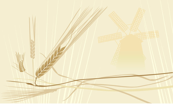 wheat ears whith windmill