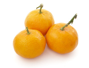 mandarine 1