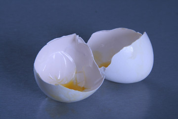 egg shells