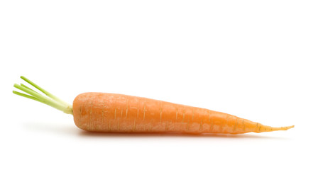 one carrot on white background