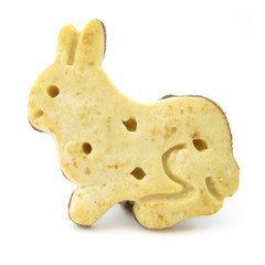 Bunny sweet biscuit