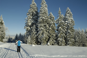 Skilanglauf