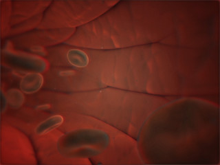 blood flow in vessel