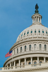 The United States Capitol Building in Washington, DC